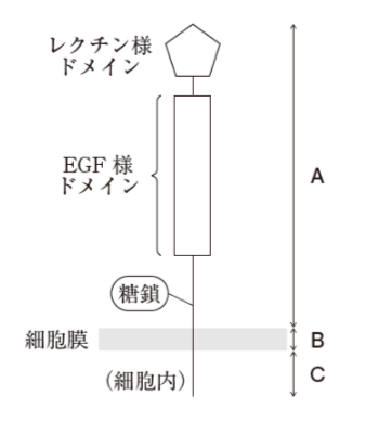解説画像